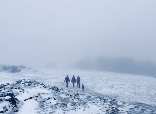 A winter walk in Bradgate park